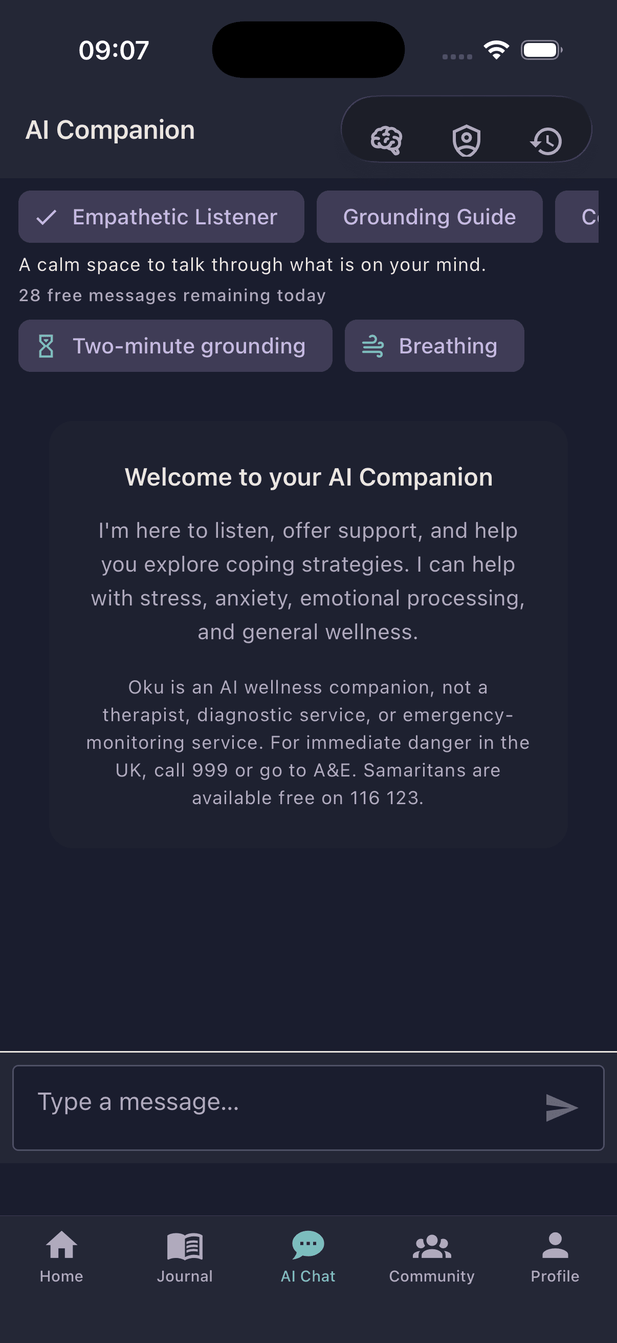 Oku AI Companion with Empathetic Listener mode and grounding tools